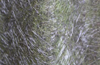 Fortuneswell fibreglass roof work